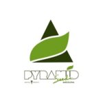 logo pyramid seeds