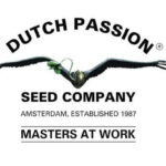 logo dutch passion